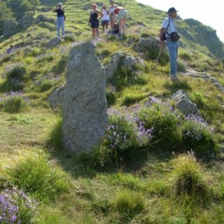 Sabato 29 luglio una 'Passeggiata pomeridiana' da Passo Teglia' al Sotto di San Lorenzo'