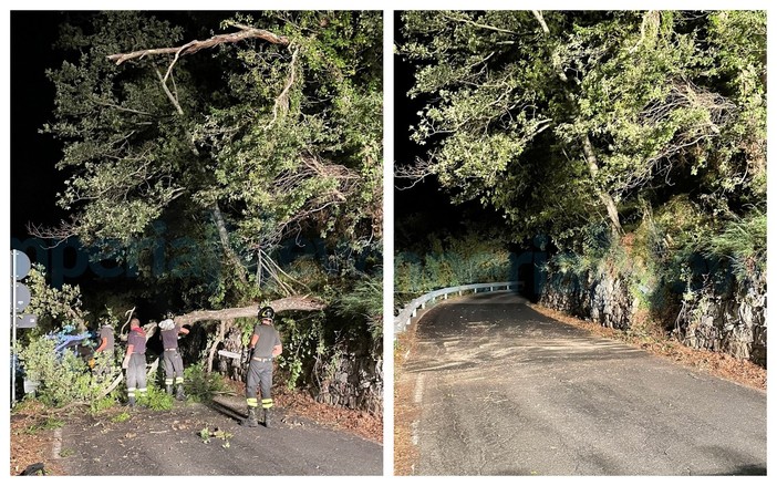 Grossa quercia cade sulla Provinciale 29 tra Chiusanico e Gazzelli: pronto intervento dei Vigili del Fuoco (Foto)