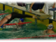 Mercoledì 1 maggio alla Sciorba il 15° Trofeo Ferraro di nuoto pinnato Mercoledì 1 maggio alla Sciorba il 15° Trofeo Ferraro di nuoto pinnato