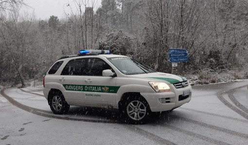 Sanremo: il bilancio di un anno per i Rangers d'Italia, oltre 400 servizi per un lavoro di 3.000 ore