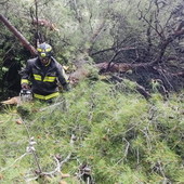 Maltempo sul Ponente: nessun danno grave, oltre 100 millimetri di pioggia a Borgomaro e torrenti in crescita Maltempo sul Ponente: nessun danno grave, oltre 100 millimetri di pioggia a Borgomaro e torrenti in crescita