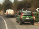 La Forestale e l'Asl sul luogo del ritrovamento
