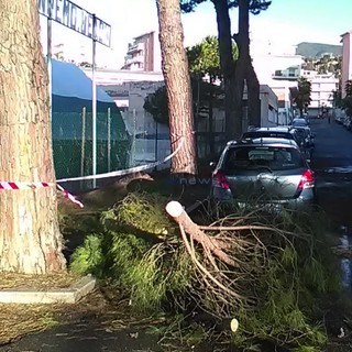 Le immagini da via Barabino Le immagini da via Barabino
