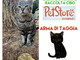 Arma di Taggia: domani al "Pet Store" del centro commerciale la raccolta cibo del centro commerciale Arma di Taggia: domani al "Pet Store" del centro commerciale la raccolta cibo del centro commerciale