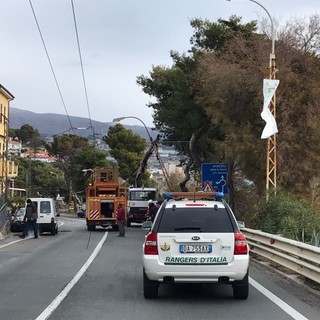 Sanremo: per l'Allerta Meteo, anche i Rangers D’Italia in campo in supporto alla popolazione