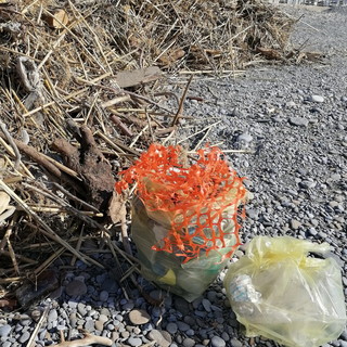 Bordighera: legname, rifiuti e plastica sulle spiagge, il Consigliere Mara Lorenzi chiede interventi all'Amministrazione