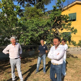 Pontedassio: eseguito questa mattina il primo rilascio dell'insetto che potrebbe sconfiggere la cimice asiatica (Foto)