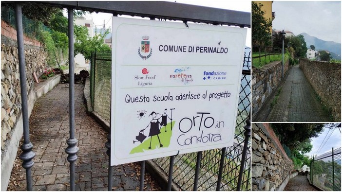 Perinaldo, la pioggia fa crollare un ramo nel viale dell'asilo: pronto intervento del Comune (Foto) Perinaldo, la pioggia fa crollare un ramo nel viale dell'asilo: pronto intervento del Comune (Foto)