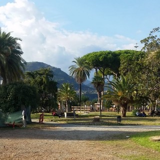 Ventimiglia: abbattimento dei pini ai giardini 'Tommaso Reggio', duro attacco del Consigliere D'Eusebio
