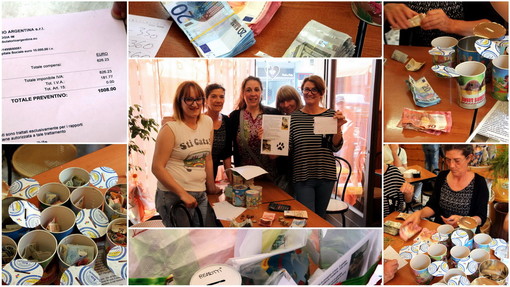 Sanremo: un'altra catena di solidarietà per un amico 'a 4 zampe' riuscita, per Casper raccolti 1700 euro (Foto e Video)