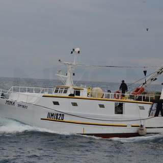 Pesca a strascico in Liguria: giro d'affari che non supera i 12 milioni, intanto il Ministero lavora ad una soluzione