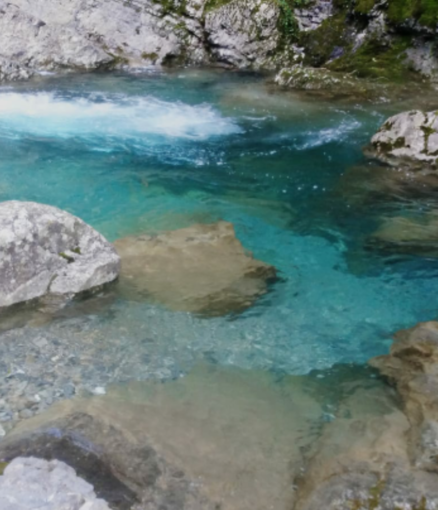 Pigna: il 25 gennaio ai laghetti del Rio Carne una manifestazione di protesta dei 'Pesci di fiume'