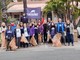 Sanremo, raccolta rifiuti: Plastic Free e I Deplasticati puliscono il litorale e i giardini Italo Calvino (Foto) Sanremo, raccolta rifiuti: Plastic Free e I Deplasticati puliscono il litorale e i giardini Italo Calvino (Foto)
