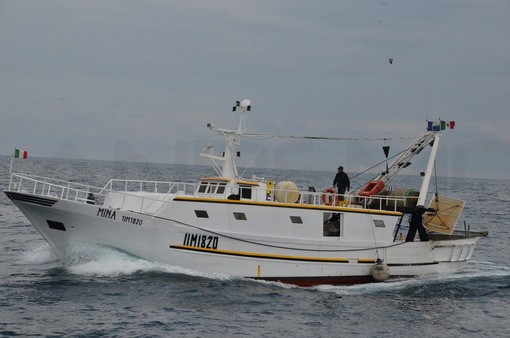 Pesca a strascico in Liguria: giro d'affari che non supera i 12 milioni, intanto il Ministero lavora ad una soluzione