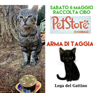 Arma di Taggia: domani al "Pet Store" del centro commerciale la raccolta cibo del centro commerciale Arma di Taggia: domani al "Pet Store" del centro commerciale la raccolta cibo del centro commerciale