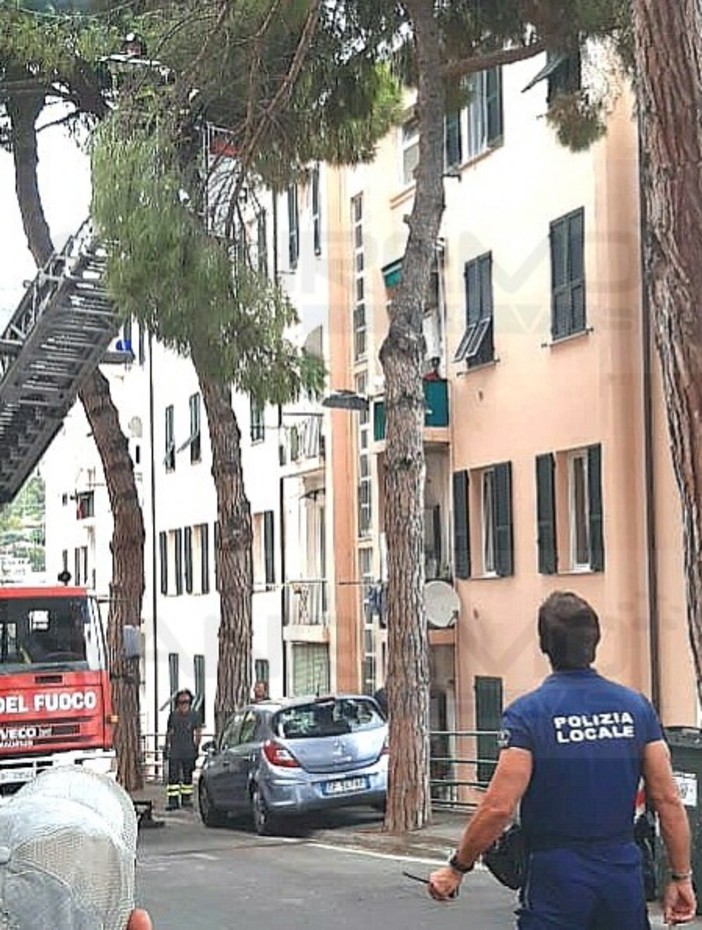 Sanremo: rami pericolanti oggi pomeriggio in via Margotti, intervento di Vigili del Fuoco e Municipale (Foto)