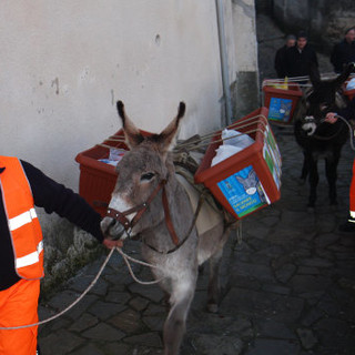 Al via il nuovo servizio 'porta a porta' nel comune di Montalto Ligure: in arrivo anche due novità