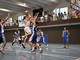 Pallacanestro: gli impegni delle formazioni della RaNaBo nel prossimo weekend