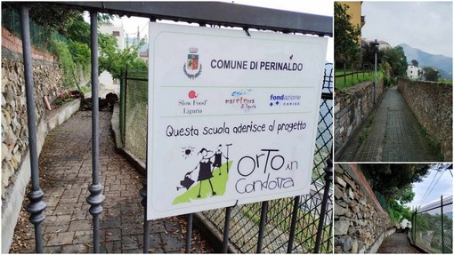 Perinaldo, la pioggia fa crollare un ramo nel viale dell'asilo: pronto intervento del Comune (Foto) Perinaldo, la pioggia fa crollare un ramo nel viale dell'asilo: pronto intervento del Comune (Foto)
