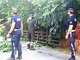 Sanremo: ramo si stacca dall'albero e minaccia via delle Fonti a Bussana, intervento di Vvf e Polizia Locale (Foto)