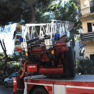 Imperia: albero a rischio crollo sull'Aurelia in località Barbarossa, intervento di Vvf e Municipale Imperia: albero a rischio crollo sull'Aurelia in località Barbarossa, intervento di Vvf e Municipale