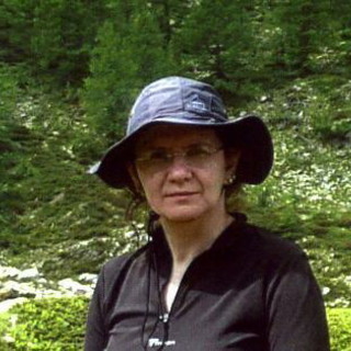 Il figlio della donna scomparsa e ritrovata ci scrive per ringraziare dell'operato le forze dell'ordine