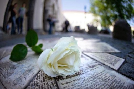 Ventimiglia: martedì prossimo al Cpia la presentazione della mostra 'La rosa bianca - volti di un'amicizia'