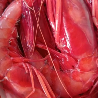 Capodanno ai Torchi con lo Chef Adalberto Battaglia