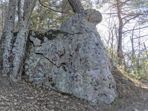 Perinaldo: nuova scoperta del gruppo 'ArcheoNervia', nel bosco una roccia raffigura un volto (Foto)