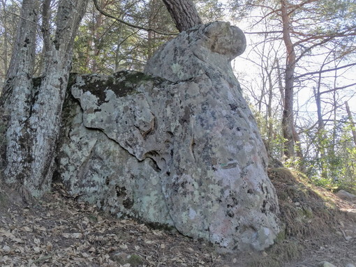 Perinaldo: nuova scoperta del gruppo 'ArcheoNervia', nel bosco una roccia raffigura un volto (Foto)