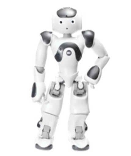 Sanremo: terminato alla scuola 'Dante Alighieri' il percorso di formazione per i robot nella didattica