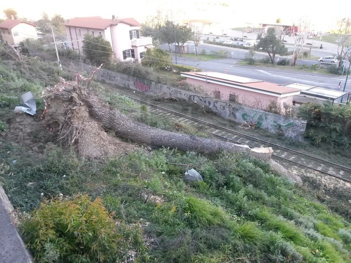 La velocità massima del vento registrata ad Imperia (104 km/h) ma in Liguria il picco nello spezzino (180)