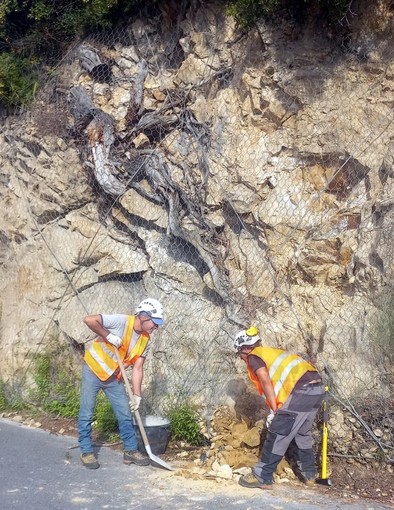 Ospedaletti: messa in sicurezza della Provinciale 80 verso Coldirodi, a breve il rinforzo della rete di protezione (Foto) Ospedaletti: messa in sicurezza della Provinciale 80 verso Coldirodi, a breve il rinforzo della rete di protezione (Foto)