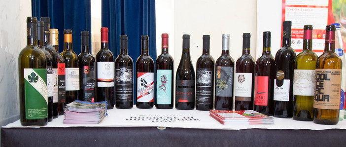 Rossese di Dolceacqua, Rondelli: "La qualità ci protegge, ma il mercato resta difficile tra dazi e dollaro debole" Rossese di Dolceacqua, Rondelli: "La qualità ci protegge, ma il mercato resta difficile tra dazi e dollaro debole"