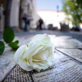 Ventimiglia: martedì prossimo al Cpia la presentazione della mostra 'La rosa bianca - volti di un'amicizia'