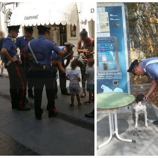 I Carabinieri trovano un bambino perso a Sanremo ed un cagnolino a Cipressa (Foto) I Carabinieri trovano un bambino perso a Sanremo ed un cagnolino a Cipressa (Foto)