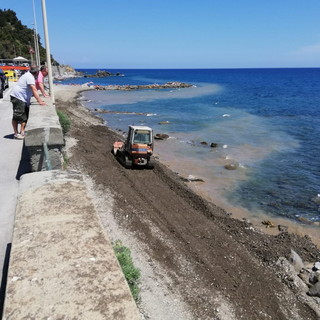 Imperia: Rifondazione Comunista si scaglia contro il ripascimento 'fangoso' nella zona della Galeazza (Foto) Imperia: Rifondazione Comunista si scaglia contro il ripascimento 'fangoso' nella zona della Galeazza (Foto)