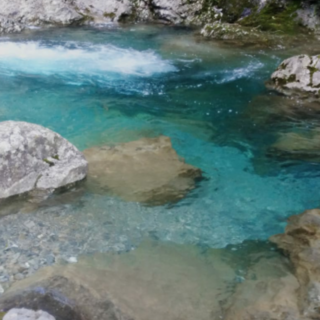 Pigna: il 25 gennaio ai laghetti del Rio Carne una manifestazione di protesta dei 'Pesci di fiume'
