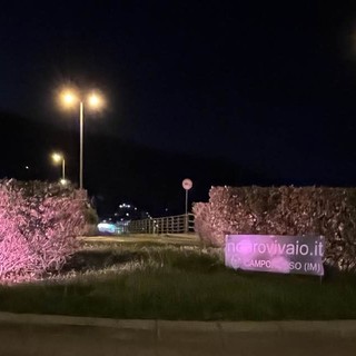 Camporosso, lotta al tumore al seno: la rotonda del ponte dell’Amicizia si illumina di rosa (Foto) Camporosso, lotta al tumore al seno: la rotonda del ponte dell’Amicizia si illumina di rosa (Foto)