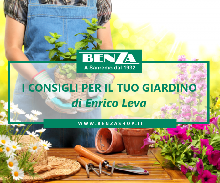 Come trattare orti, frutteti e tappeti erbosi ad Aprile: i consigli di Enrico Leva, collaboratore della ditta Benza Come trattare orti, frutteti e tappeti erbosi ad Aprile: i consigli di Enrico Leva, collaboratore della ditta Benza