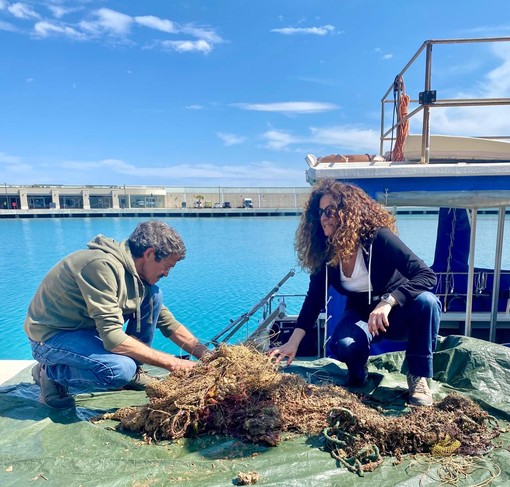 Ventimiglia: recuperate tre reti fantasma nell’area di tutela di Marina di Capo Mortola (Foto) Ventimiglia: recuperate tre reti fantasma nell’area di tutela di Marina di Capo Mortola (Foto)