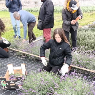 10 anni del progetto 'Lavanda riviera dei Fiori: una giornata di formazione per gli studenti del 'Ruffini-Aicardi'