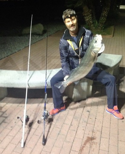 Ventimiglia: pesca fuori dal comune ieri sera per Robert Lazar, catturata una spigola da 8,4 Kg Ventimiglia: pesca fuori dal comune ieri sera per Robert Lazar, catturata una spigola da 8,4 Kg
