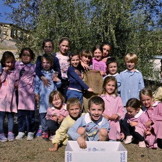 Sanremo: i ragazzi dell'Istituto “Calvino” scoprono il rito della raccolta delle olive (Foto) Sanremo: i ragazzi dell'Istituto “Calvino” scoprono il rito della raccolta delle olive (Foto)