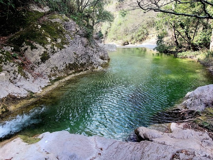 Pigna: emergenza idrica nella nostra provincia, anche il livello del Rio Carne è in netto calo Pigna: emergenza idrica nella nostra provincia, anche il livello del Rio Carne è in netto calo