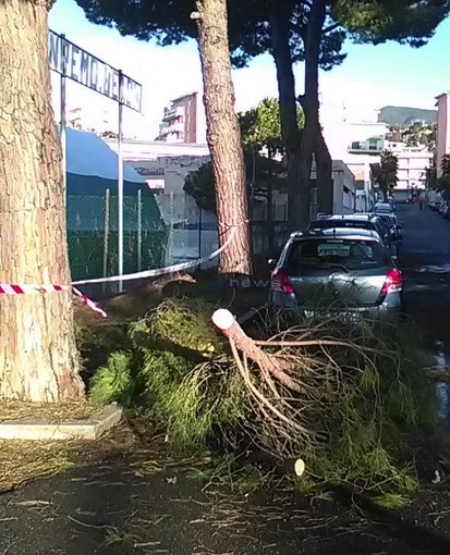 Le immagini da via Barabino Le immagini da via Barabino