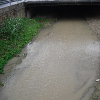 Bordighera, "unica vasca di laminazione su torrente Borghetto verrà eliminata per fare campo sportivo alle Due Strade": la segnalazione