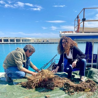 Ventimiglia: recuperate tre reti fantasma nell’area di tutela di Marina di Capo Mortola (Foto) Ventimiglia: recuperate tre reti fantasma nell’area di tutela di Marina di Capo Mortola (Foto)
