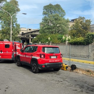 Imperia: 62enne della Valle Impero scomparso da ieri, ricerche in corso nella zona dell'ex Italcementi Imperia: 62enne della Valle Impero scomparso da ieri, ricerche in corso nella zona dell'ex Italcementi