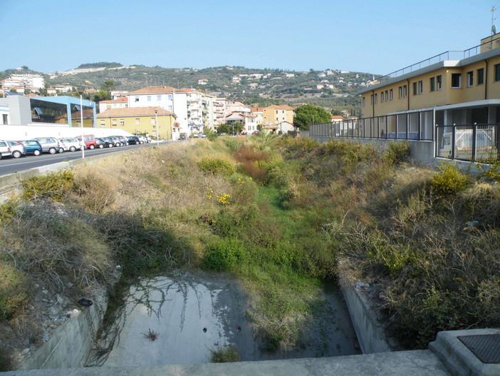 Imperia: un lettore denuncia la grave situazione del Rio Oliveto "E' una giungla!" Imperia: un lettore denuncia la grave situazione del Rio Oliveto "E' una giungla!"